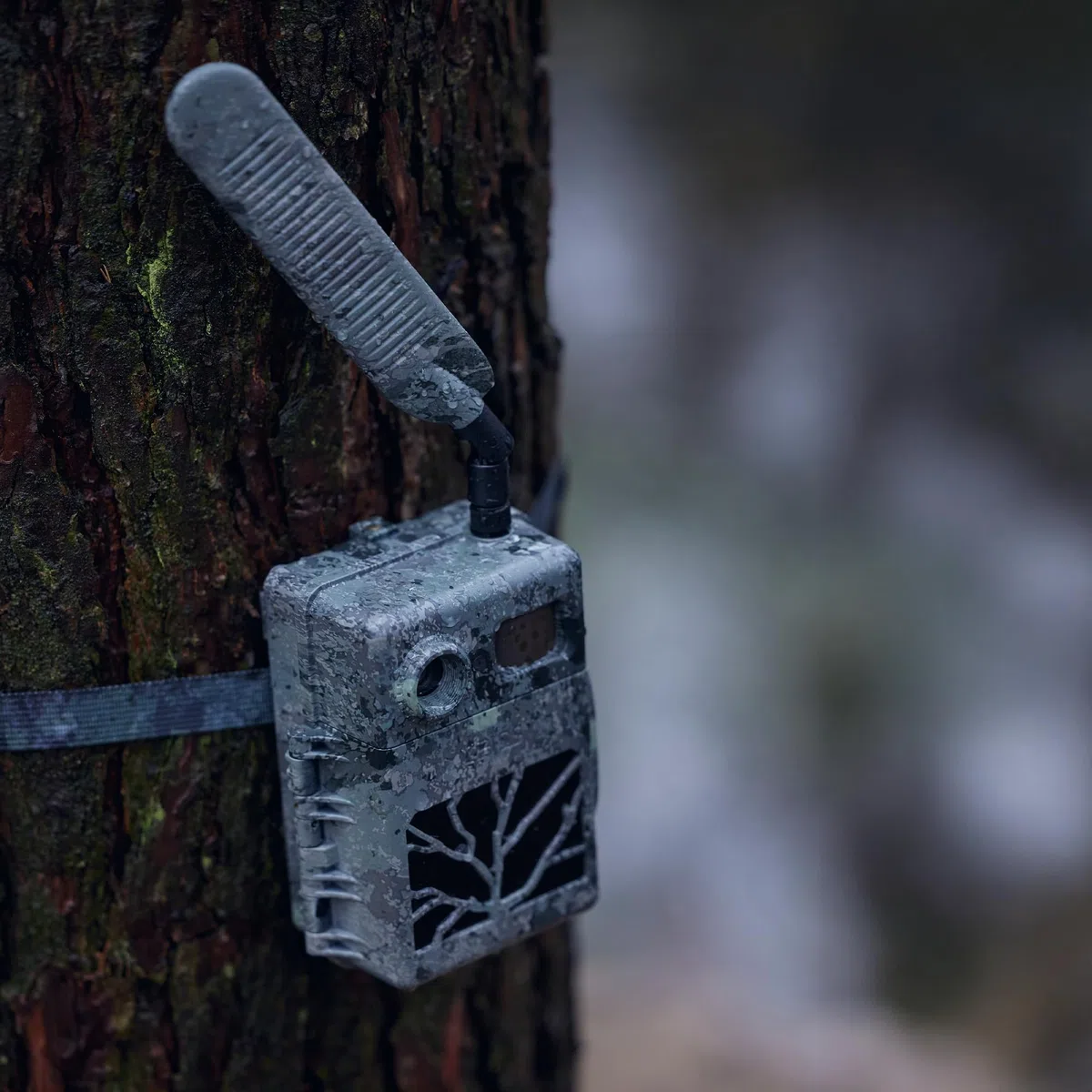 ZEISS Secacam Antenna Esterna 4G LTE, per Fotocamera da Caccia Connessa ZEISS, Antenna Omnidirezionale, Potenziatore di Segnale, per fotocamera di sorveglianza fauna, caccia all'aperto, sicurezza.