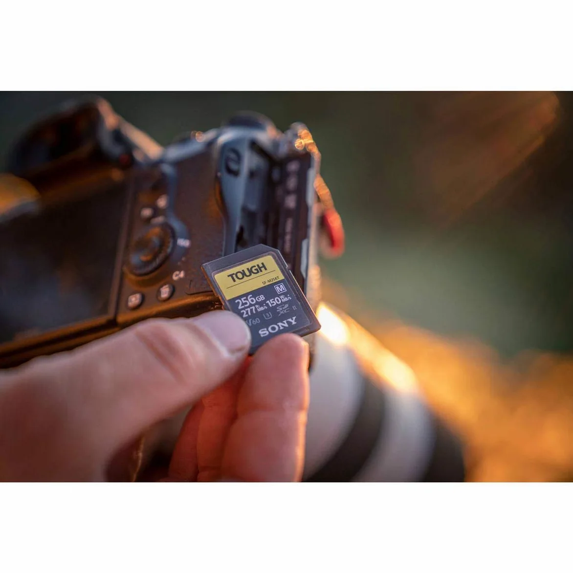 Sony Memoria SD-XC 64 GB Serie M Tough, Lettura 277 MB/s, Scrittura 150 MB/s, Resistente a Condizioni Estreme