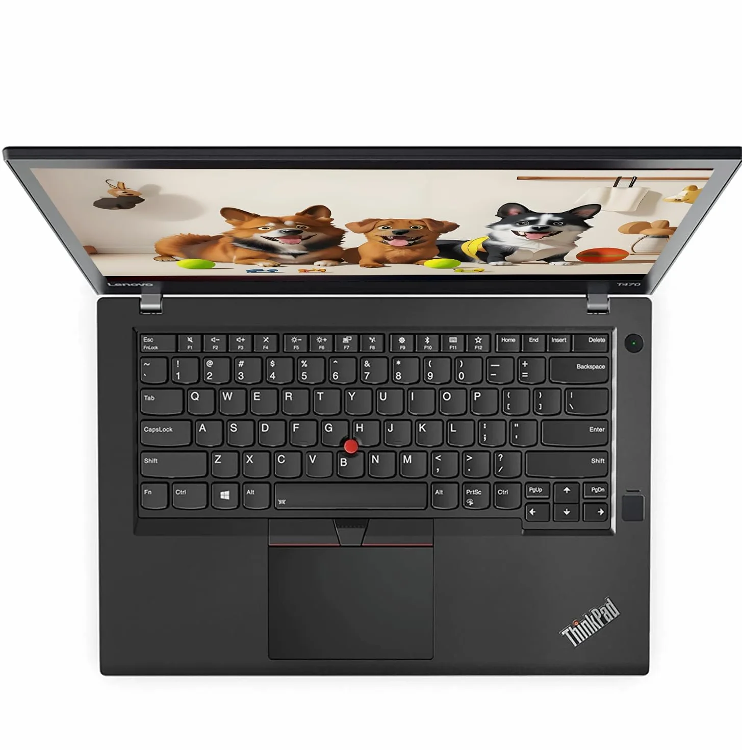 Lenovo ThinkPad T470 Computer portatile aziendale, 35,6 cm (14") (1366 x 768), Intel Core i5-6300U, 16 GB di RAM, 256 GB di SSD, Tastiera QWERTY, Windows 11 Pro (Ricondizionato)