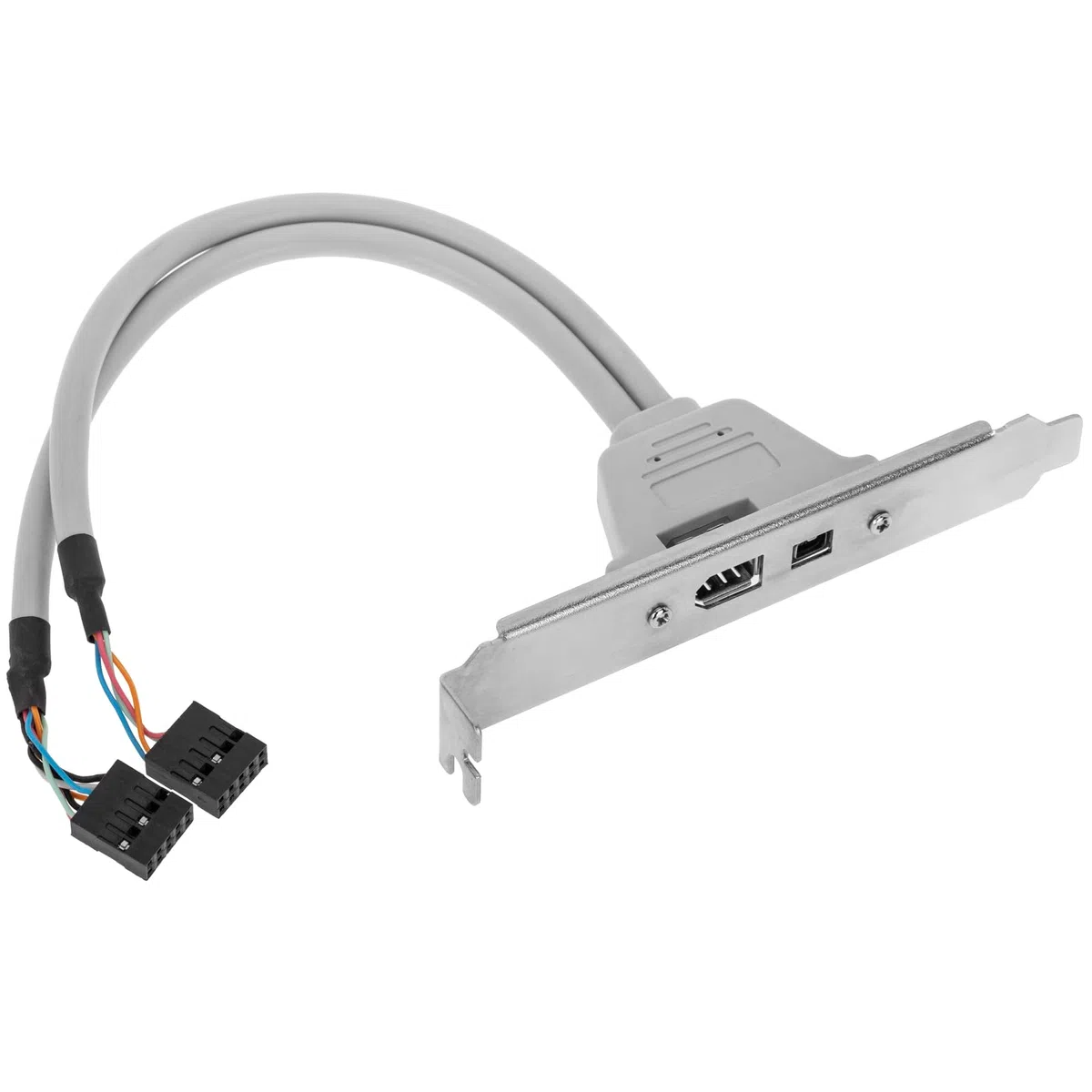 BeMatik - Piatto 400 IEEE 1394 FireWire a 4 Pin e 6 Pin Femmina