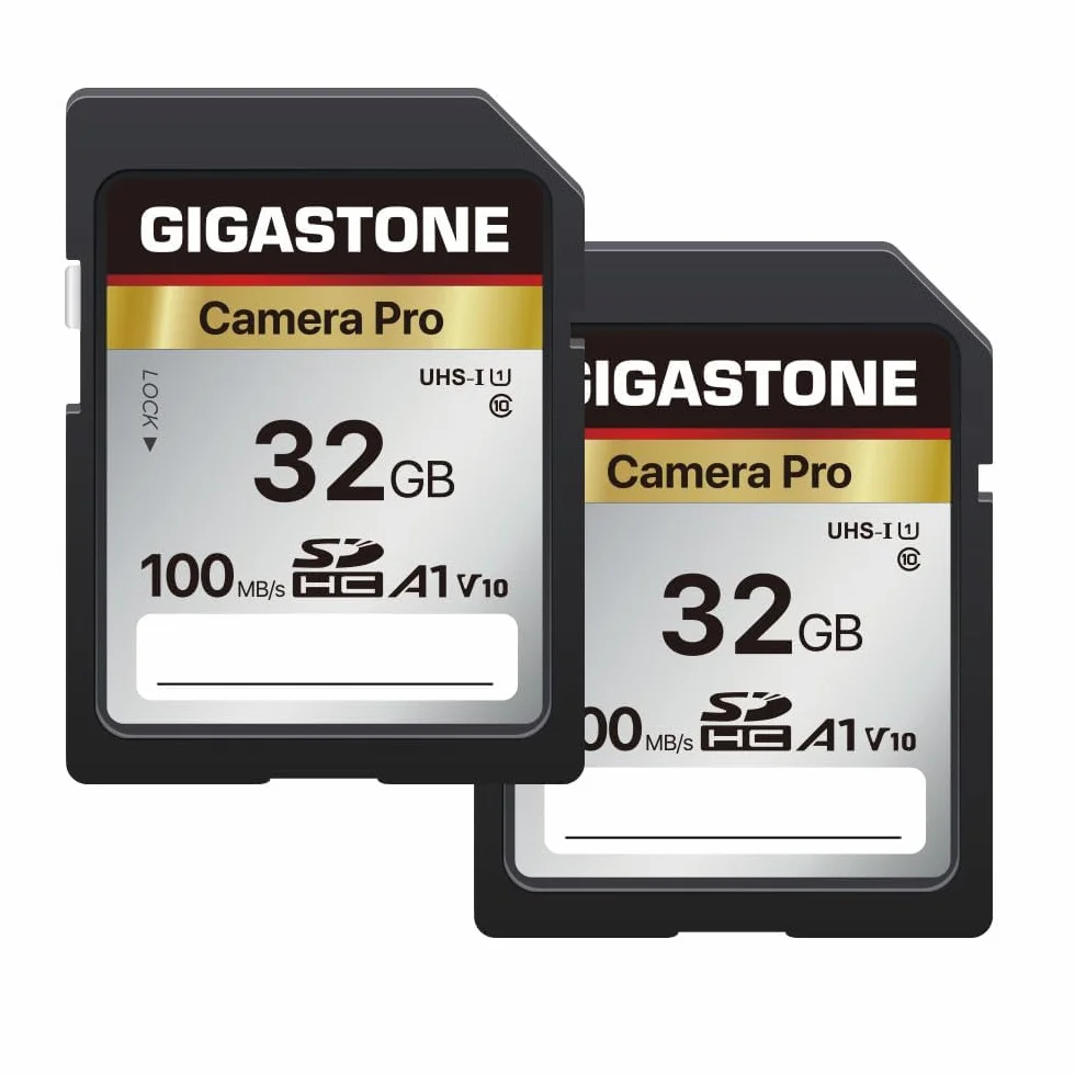 Gigastone Scheda di memoria SDHC da 32 GB, fotocamera Pro seriale, confezione da 2 schede, velocità fino a 100 MB/s. Compatibile con fotocamera Canon Nikon Sony Videocamera A1 U1 V10 UHS-I Classe 10