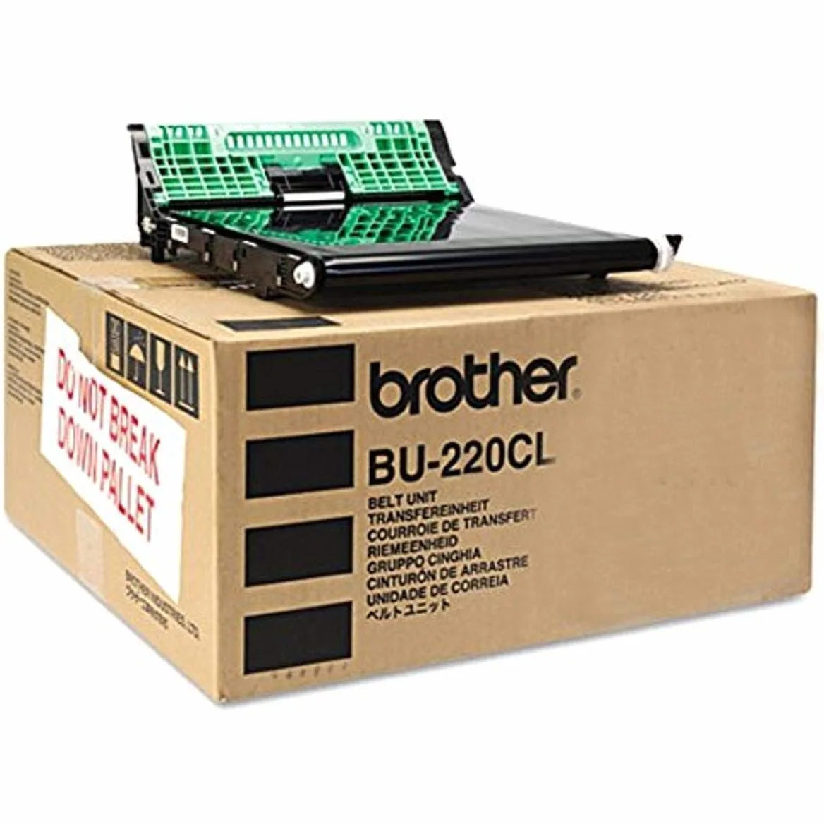 Brother BU-220cl Kit Per Stampante (belt Pages: 50.000 - Warranty: 12m)