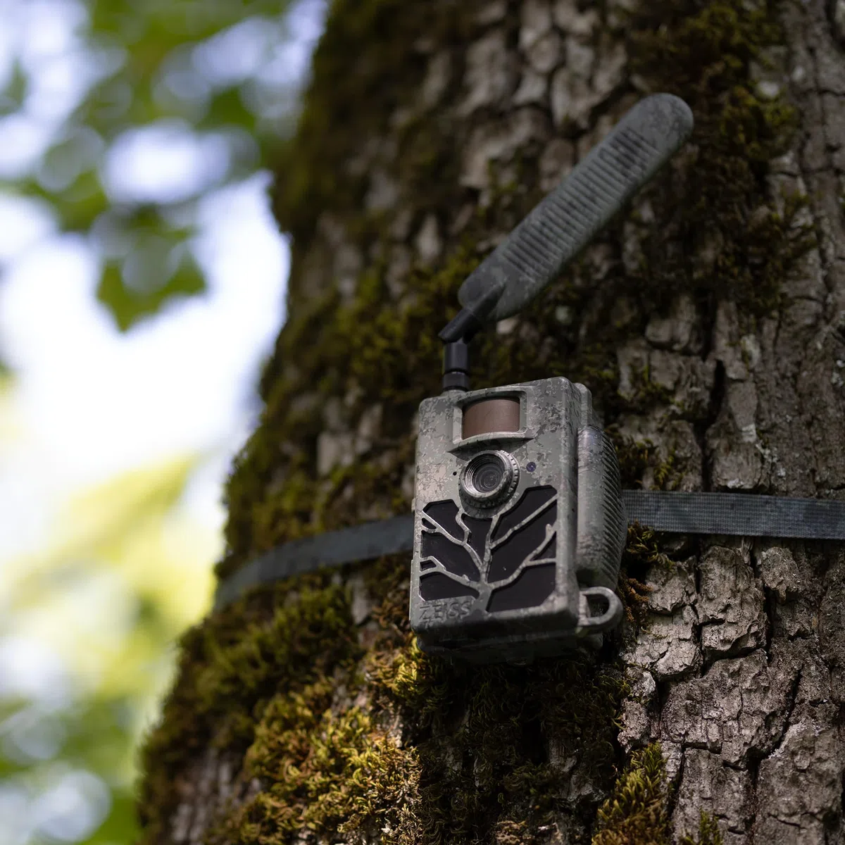 ZEISS Secacam Antenna Esterna 4G LTE, per Fotocamera da Caccia Connessa ZEISS, Antenna Omnidirezionale, Potenziatore di Segnale, per fotocamera di sorveglianza fauna, caccia all'aperto, sicurezza.