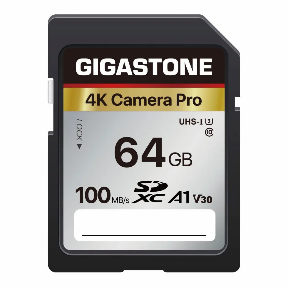 GIGASTONE Scheda SD 64 GB, 4K Camera Pro, Scheda di Memoria SDXC, Velocità di trasferimento fino a 100MB/s Compatibile con Canon Nikon Sony Camcorder, A1 V30 UHS-I Classe 10 per video 4K UHD