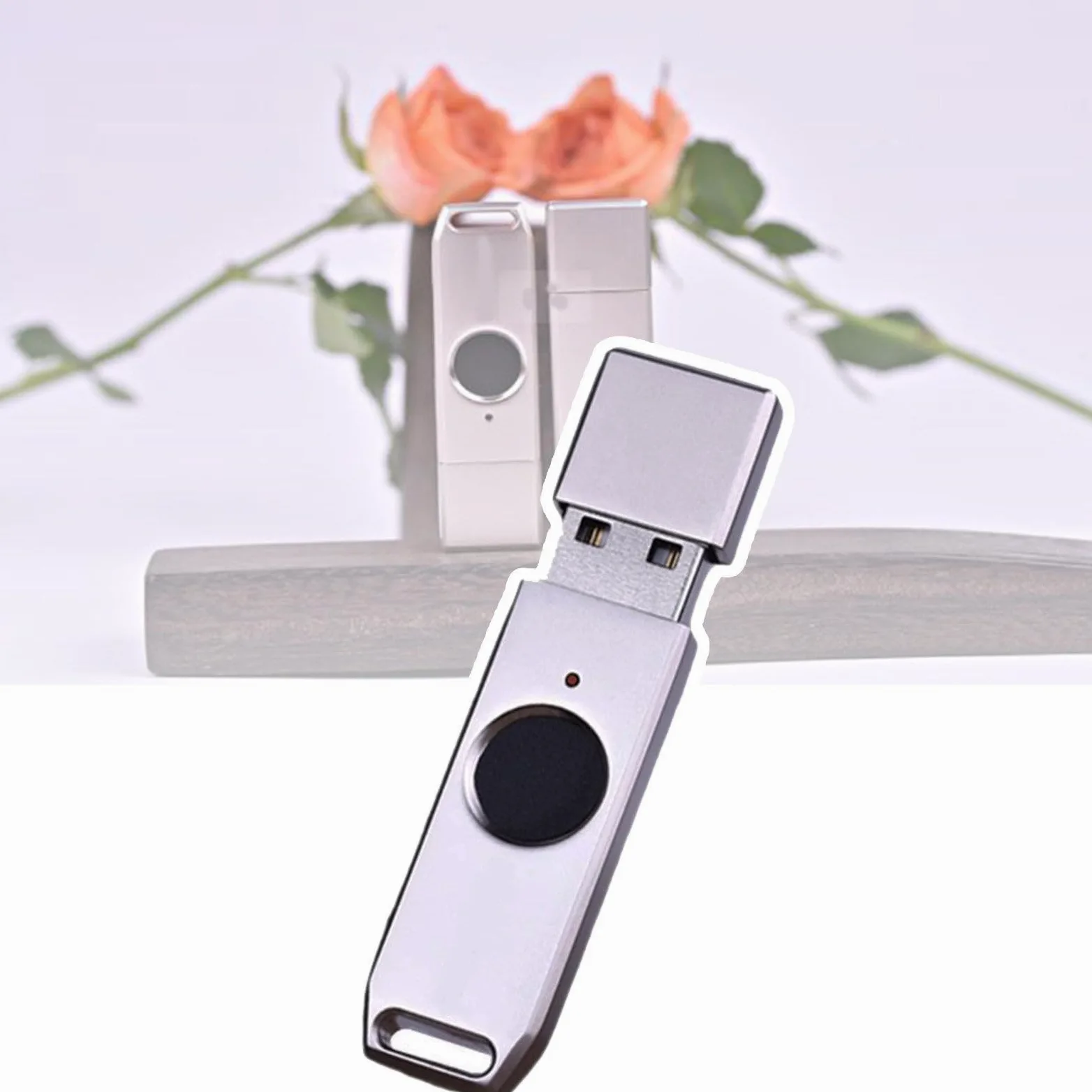 Chiavetta USB con sblocco Impronte digitali, Dispositivo di archiviazione Portatile antifurto in Metallo, Memoria con 10 ID Impronte digitali, Trasmissione Rapida 256GB