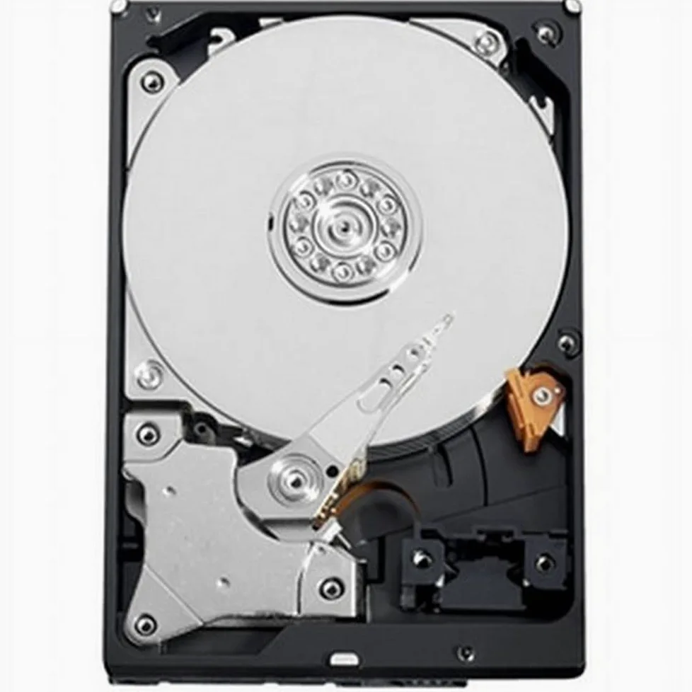 Western Digital WD10EADS Caviar Green 1TB Hard- Disk interno (8,9 cm (3,5 pollici), 32MB Cache, SATA)