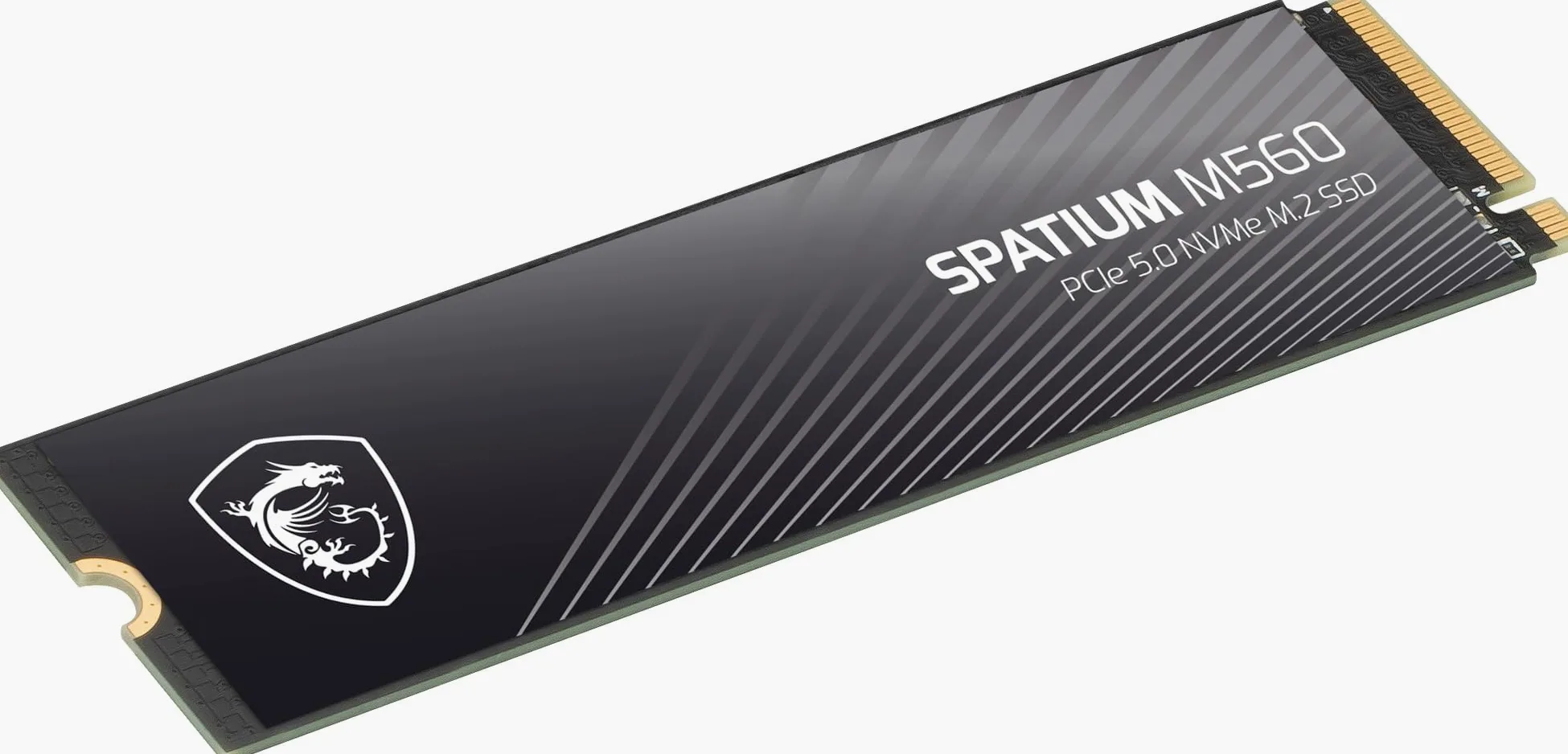 MSI SSD portatile SPATIUM M560 PCIe 5.0 NVMe M.2 da 1 TB, unità a stato solido esterna da 1 TB, velocità fino a 10200 MB/s, USB-C, archiviazione affidabile per giochi, studenti, professionisti, nero