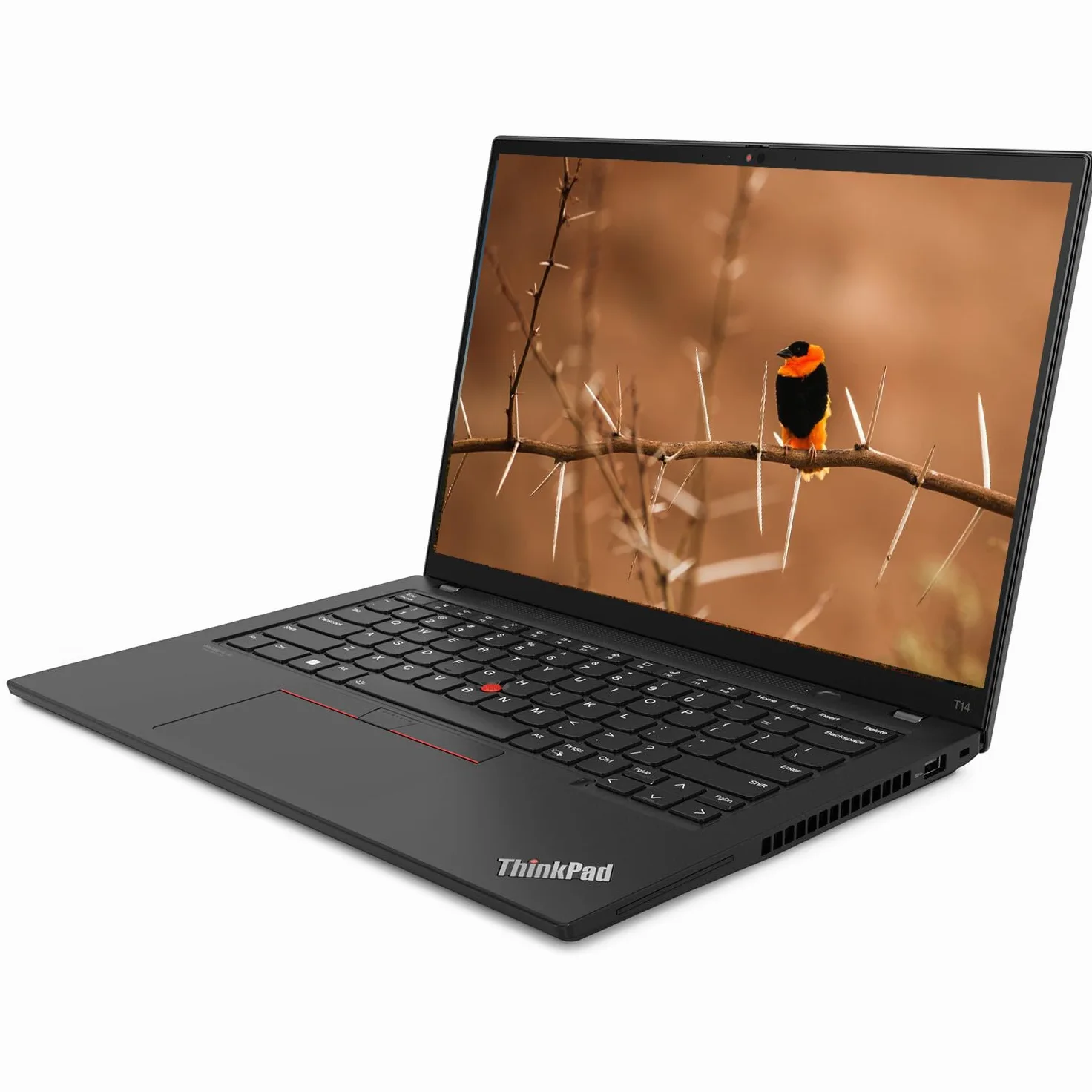 Lenovo Thinkpad T14 Gen 1 Touchscreen Business Laptop, 14" FHD (1920x1080), Intel Core i5-10310U, 16 GB RAM, SSD da 256 GB, Tastiera US QWERTY, Windows 11 Pro (Ricondizionato)