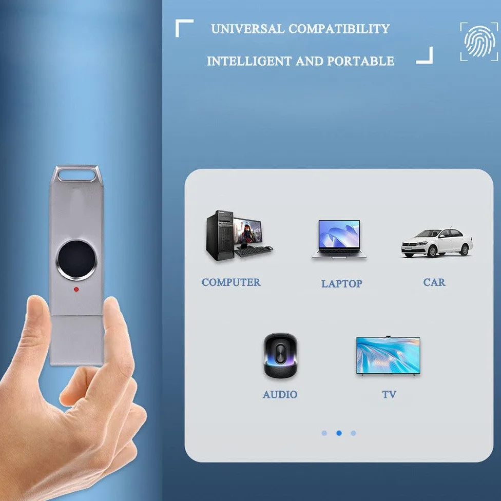 Chiavetta USB con sblocco Impronte digitali, Dispositivo di archiviazione Portatile antifurto in Metallo, Memoria con 10 ID Impronte digitali, Trasmissione Rapida 256GB