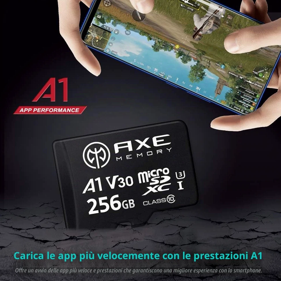 AXE MEMORY Scheda Micro SD 256 GB, Memoria MicroSDXC per Nintendo-Switch, GoPro, Drone, Smartphone, Tablet, 4K Ultra HD, A1 UHS-I U3 V30 C10, Lettura Fino a 95 MB/s, con Adattatore SD