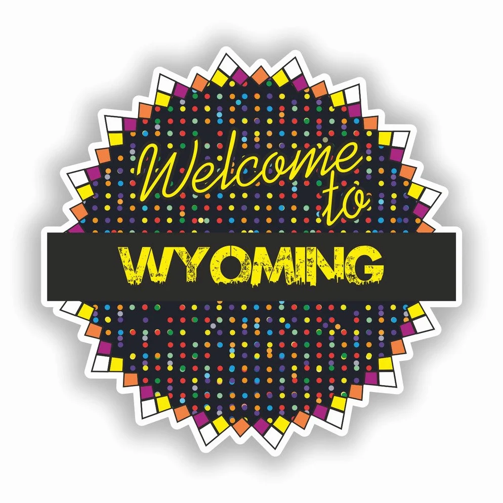 2 x 25cm/250mm Benvenuti al Wyoming Adesivi vinilici bagagli di viaggio #7746