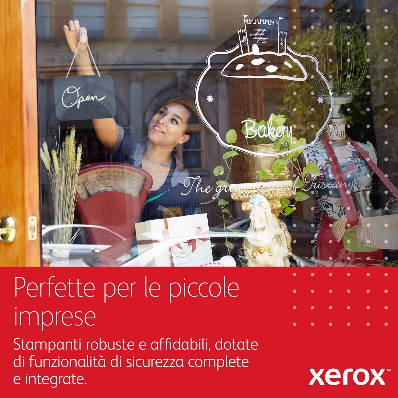 Xerox C235dni A4 22ppm Stampante Multifunzione Laser Colore Wireless con Stampa Fronte Retro - Copia/Stampa/Scansione/Fax - Pannello Touch a Colore (3 anni di garanzia)