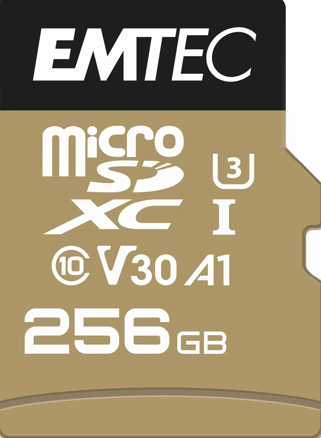 EMTEC SPEEDIN PRO 256 GB MICROSDXC, SPEICHERKARTE