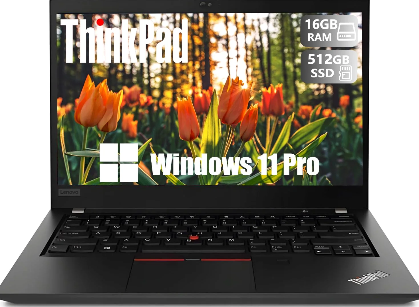 Lenovo Thinkpad T490 Business Laptop Notebook, 14" (1366x768), Intel Core i5-8365U, 16 GB RAM, SSD da 512GB, tastiera US QWERTY, Windows 11 Pro (ricondizionato)
