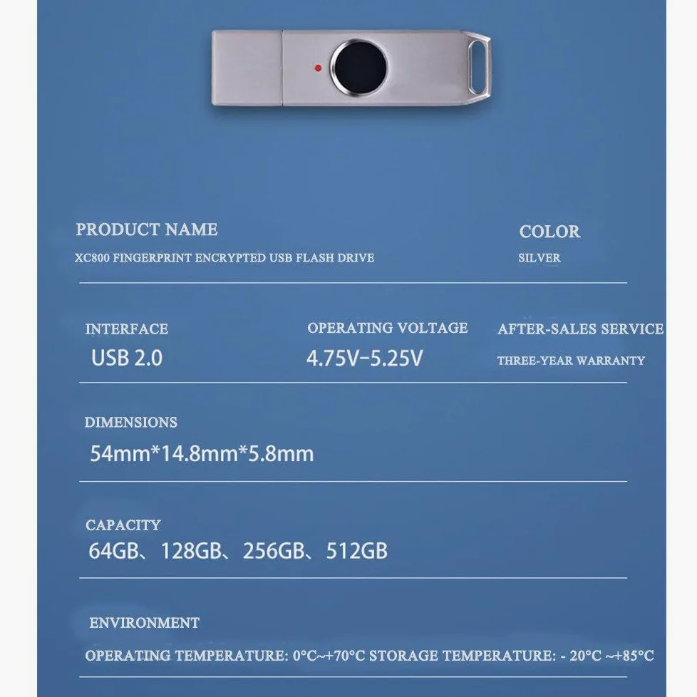 Chiavetta USB con sblocco Impronte digitali, Dispositivo di archiviazione Portatile antifurto in Metallo, Memoria con 10 ID Impronte digitali, Trasmissione Rapida 256GB
