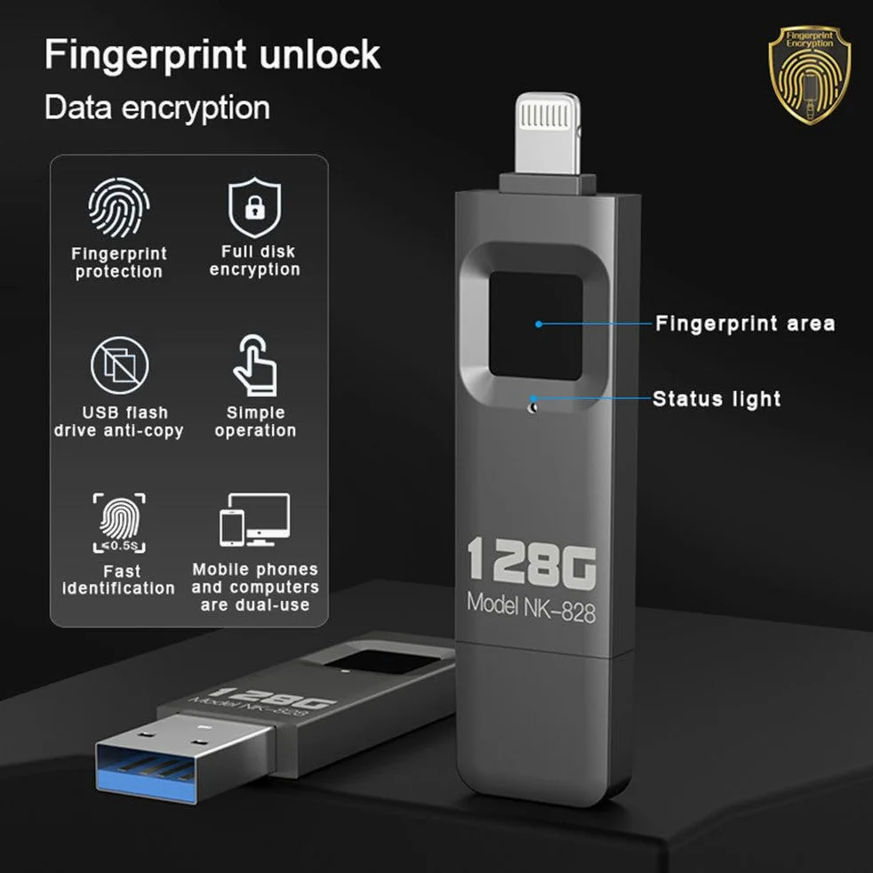Chiavetta USB ad Alta velocità con crittografia delle Impronte digitali, Dispositivo di archiviazione antifurto in Metallo, 64 ID di Impronte digitali consentiti 256GB