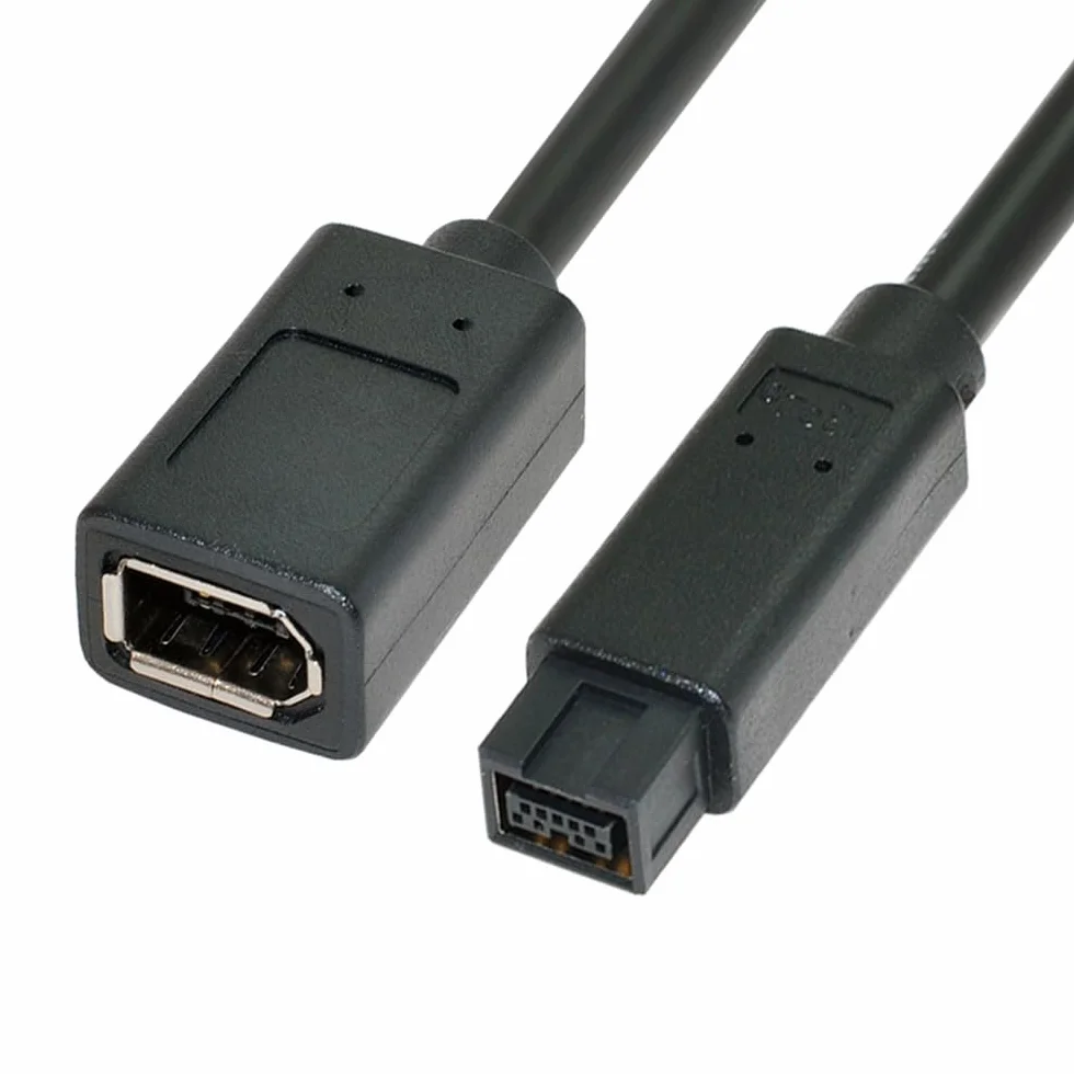 IEEE 1394 6Pin Femmina a 1394b 9Pin Maschio Firewire 400 a 800 Cavo 20cm