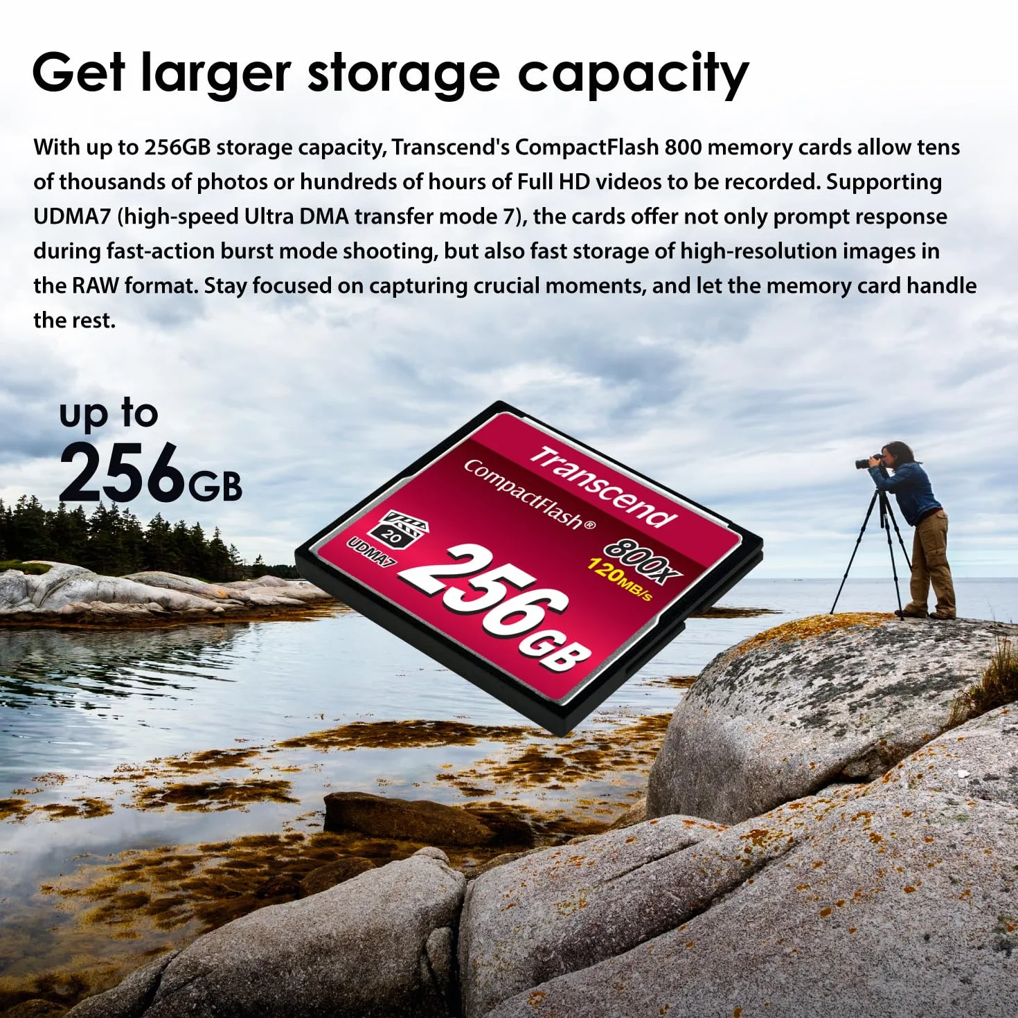 Transcend Scheda CompactFlash 800 da 32 GB, fino a 120/60 MB/s, supporta la modalità Ultra DMA 7 ad alta velocità, ideale per video Full HD e 3D ad altissima risoluzione - TS32GCF800