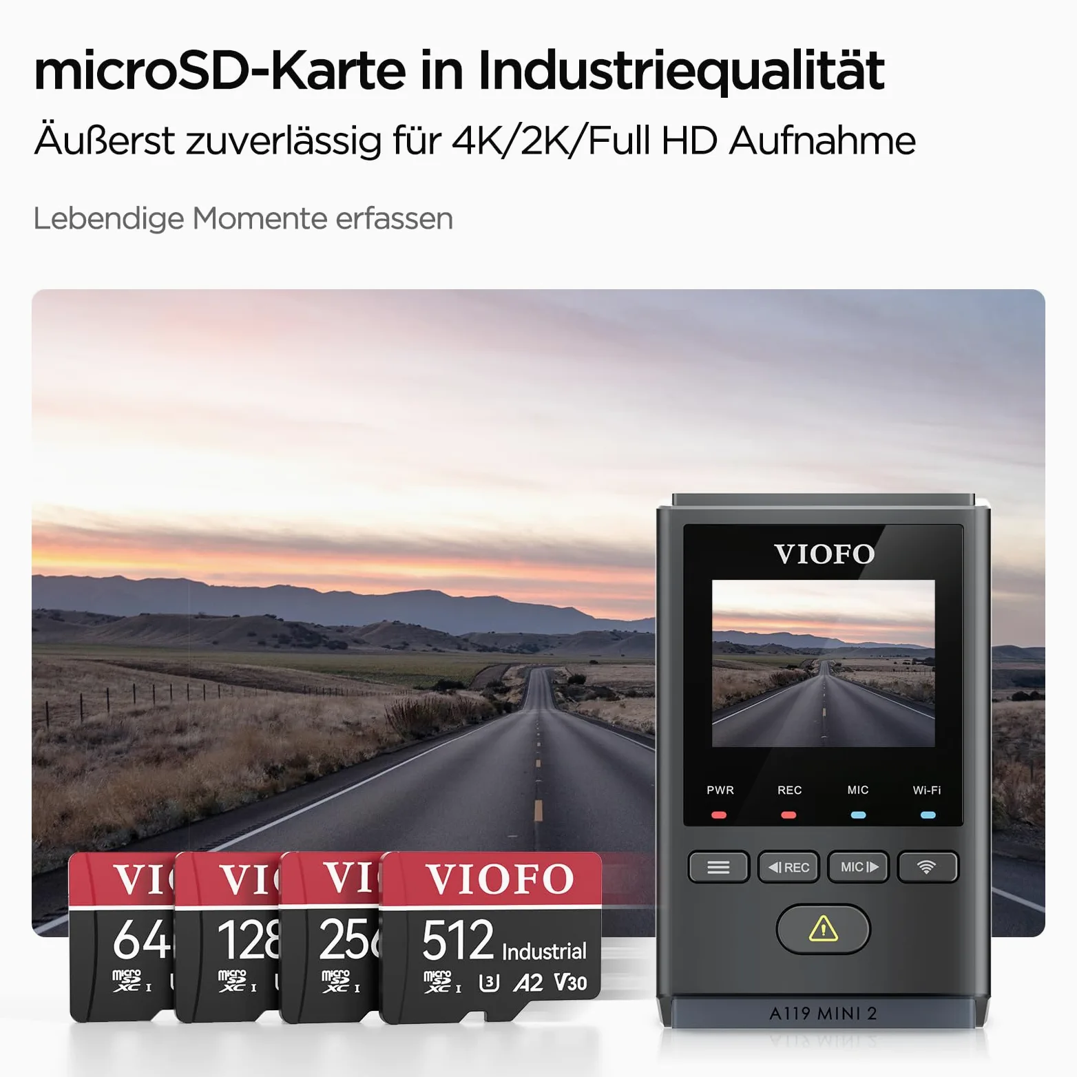 VIOFO Scheda di memoria da 256 GB, alta velocità con adattatore U3, compatibile con 4 K WiFi Dashcam Auto Camera