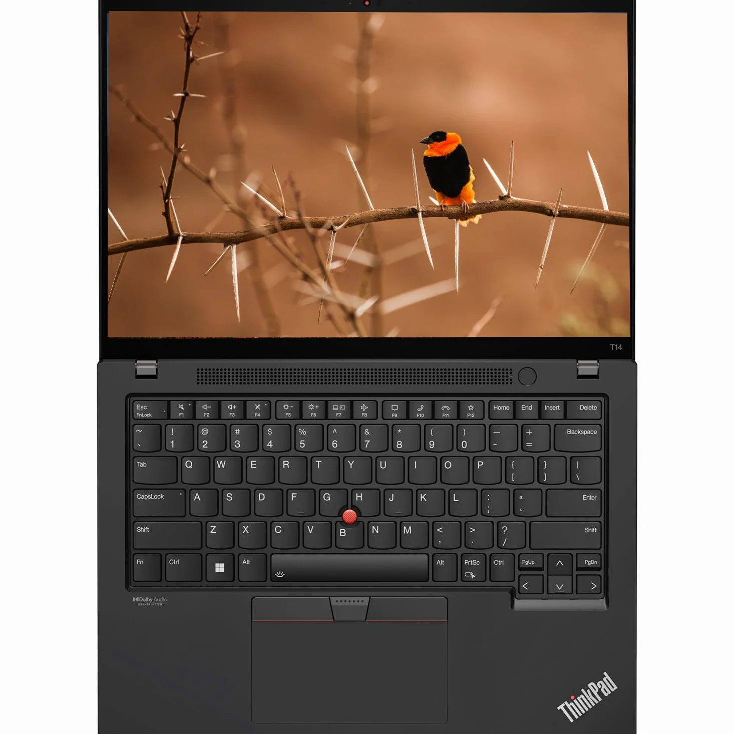 Lenovo Thinkpad T14 Gen 1 Touchscreen Business Laptop, 14" FHD (1920x1080), Intel Core i5-10310U, 16 GB RAM, SSD da 256 GB, Tastiera US QWERTY, Windows 11 Pro (Ricondizionato)