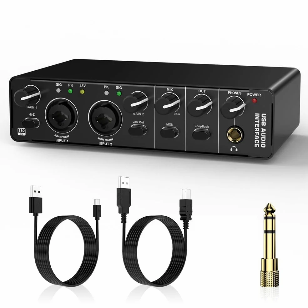 Malloy Interfaccia Audio USB, Interfaccia Audio 2 in 2 out con Alimentazione Phantom 48V per Registrazione, per Chitarrista, Cantante, Podcaster