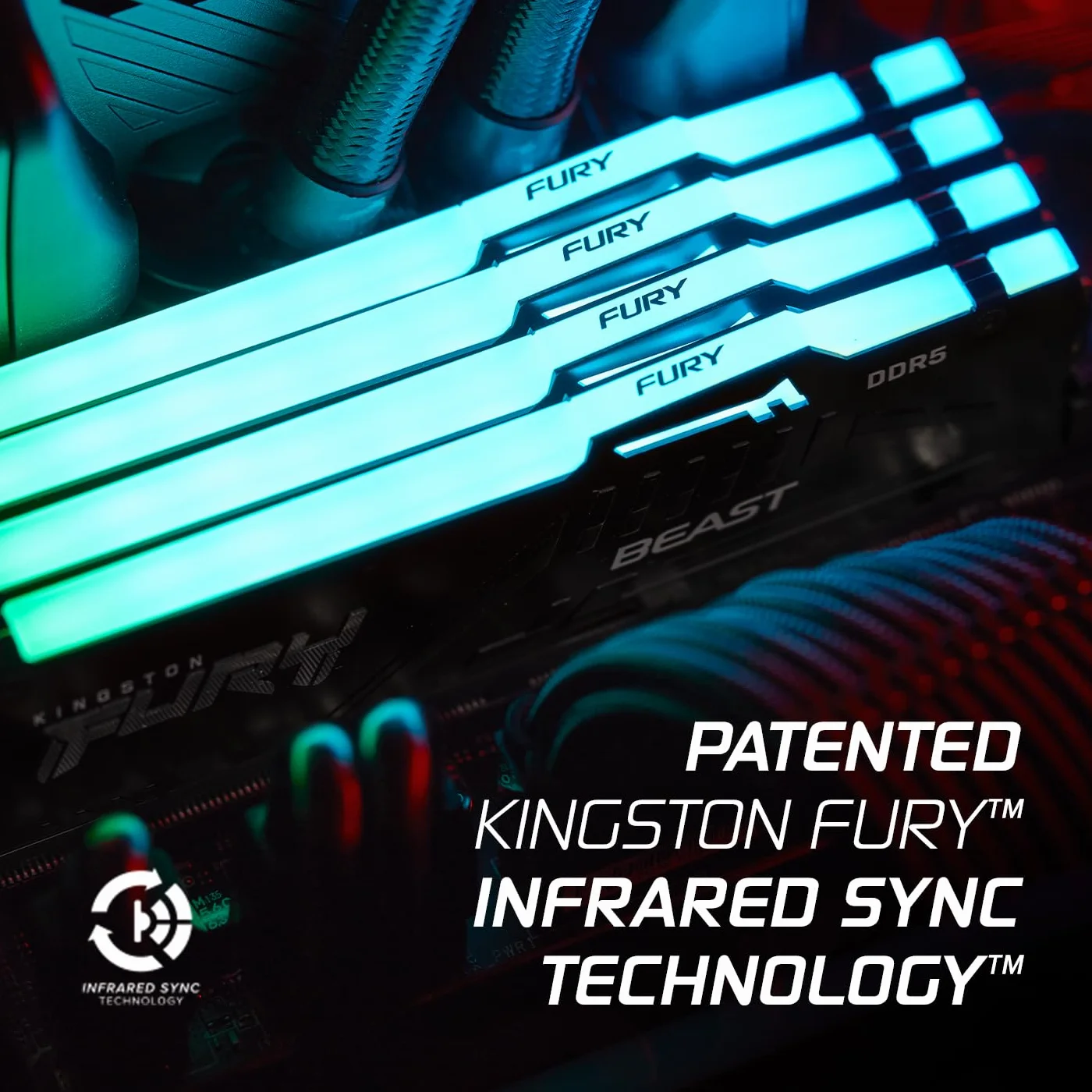 Kingston FURY Beast Nero RGB 16GB 6000MT/s DDR5 CL36 DIMM Memoria Gaming per Computer Fissi Modulo Singolo AMD EXPO/ Intel XMP - KF560C36BBE2A-16