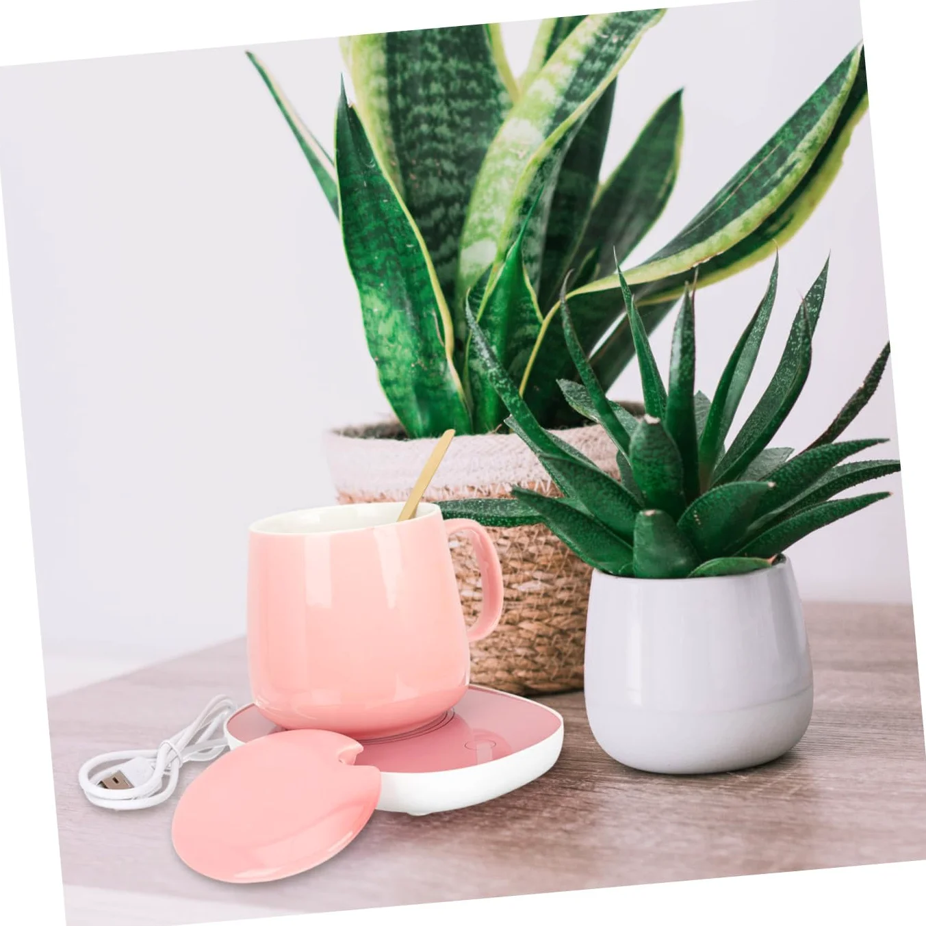 Scalda Tazze Elettrico in Ceramica Termostato per Caffè Tè Acqua Calda Tazza Termica USB da Scrivania Leggera e Resistente