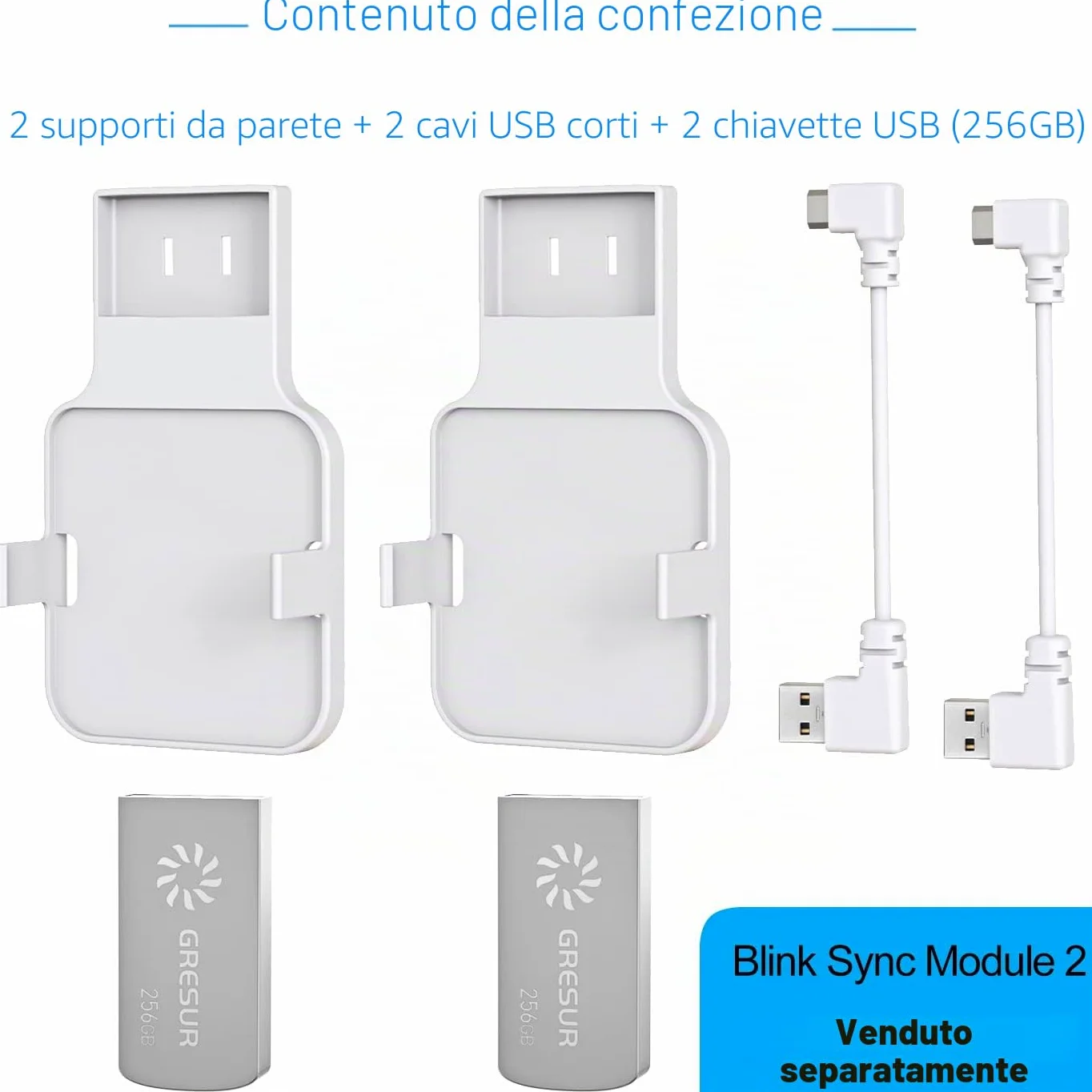 Chiavetta USB da 256 GB per archiviazione video locale con supporto Blink Sync Module 2 (modulo Blink Add-On Sync 2 non incluso), confezione da 2