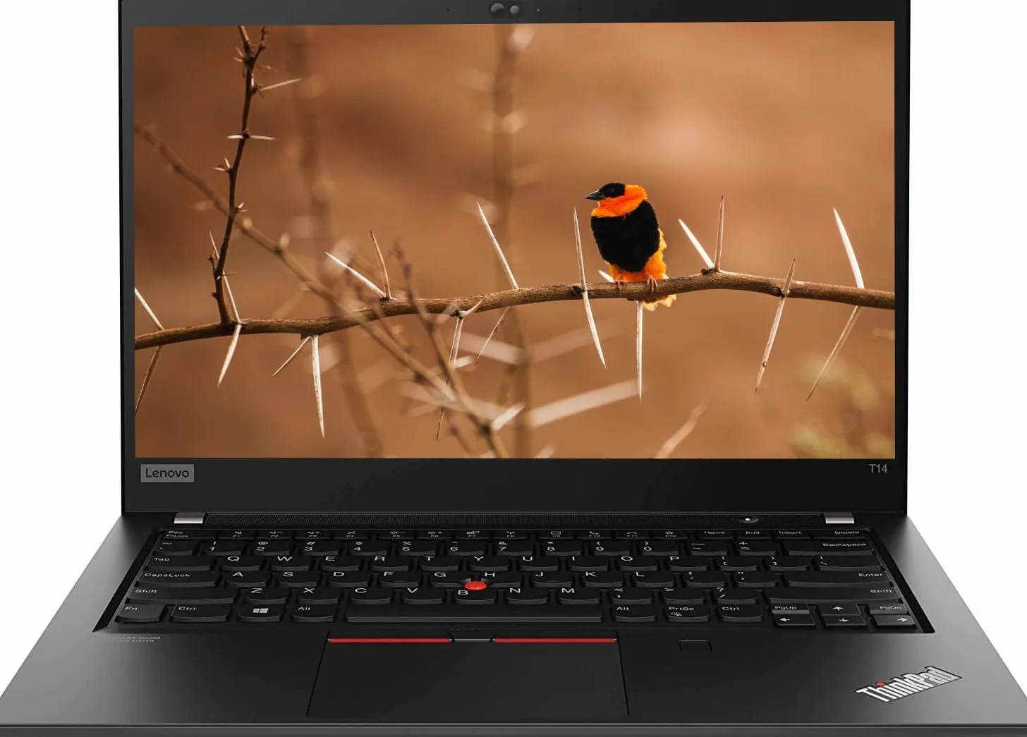 Lenovo Thinkpad T14 Gen 1 Touchscreen Business Laptop, 14" FHD (1920x1080), Intel Core i5-10310U, 16 GB RAM, SSD da 256 GB, Tastiera US QWERTY, Windows 11 Pro (Ricondizionato)