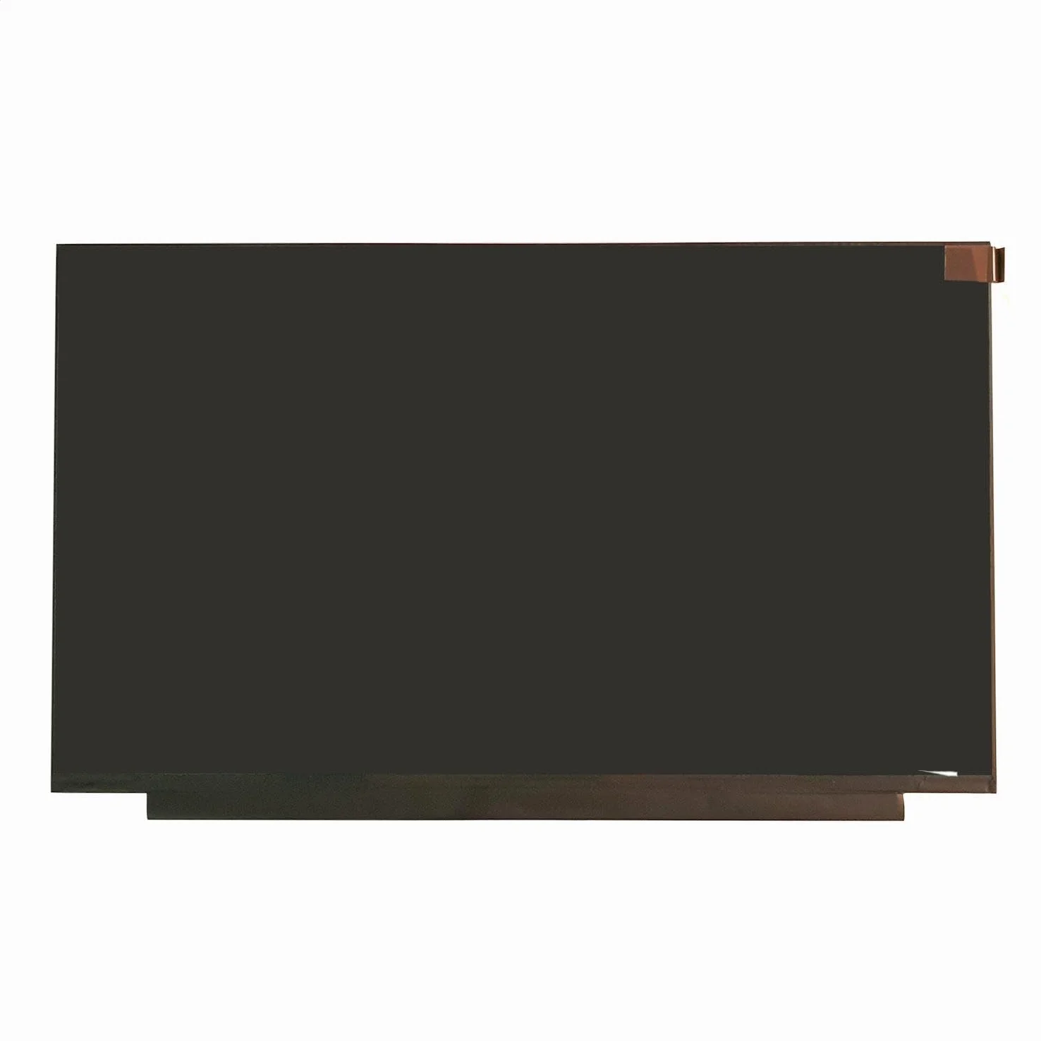 LCD DISPLAY SCHERMO 15,6" 2560x1440 QHD PER MSI GE66 RAIDER 10SFS-620IT