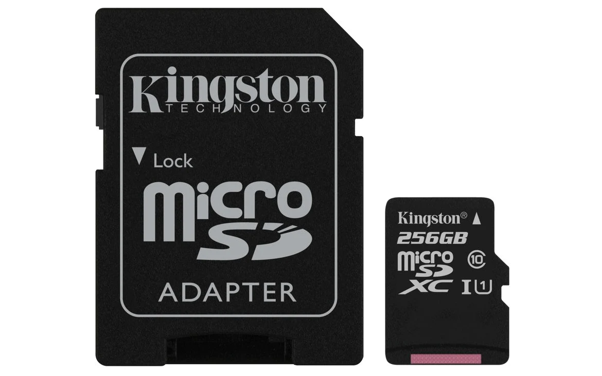 Kingston SDCS/256GB Canvas Select MicroSD, Velocità UHS-I di Classe 10, fino a 80 MB/s in Lettura, con Adattatore SD