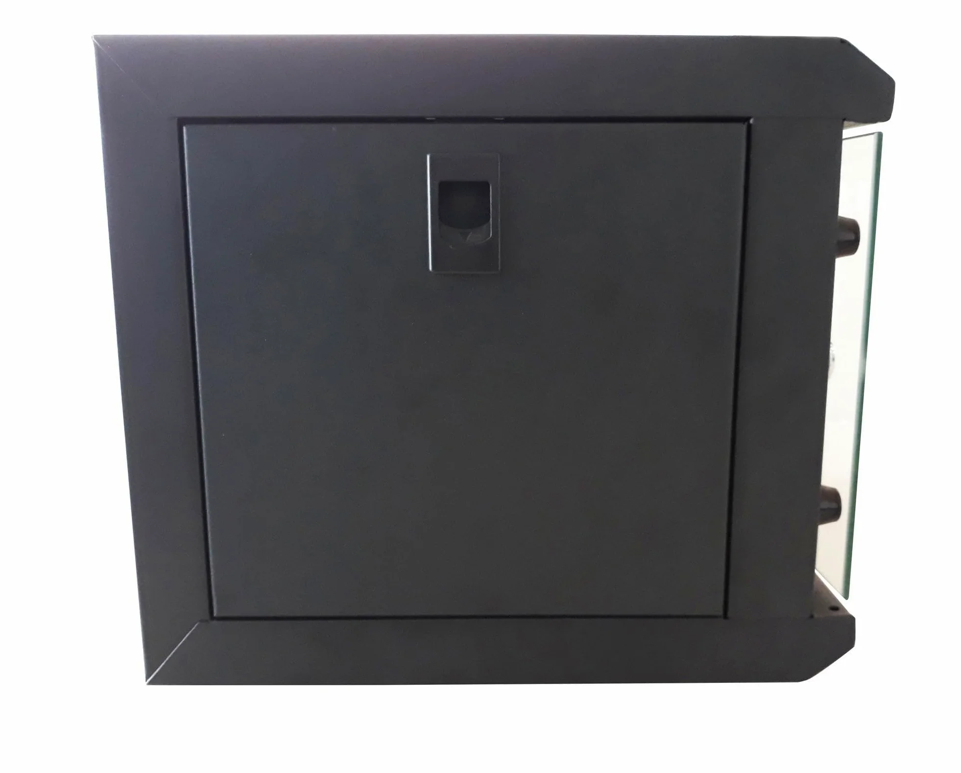 Techly Professional 362343 Armadio Rack 10" a Muro 4 unità Pannelli Asportabili Nero Nero